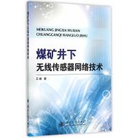 礦業(yè)工程與網(wǎng)絡(luò)工程 傳統(tǒng)與現(xiàn)代的跨學(xué)科融合